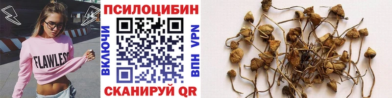 Галлюциногенные грибы мицелий  Купить закладки  Коряжма 